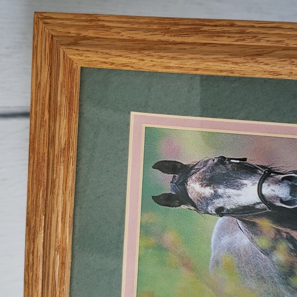 Framed Horse Print Caballo Pony Cowgirl - Picture 6 of 11